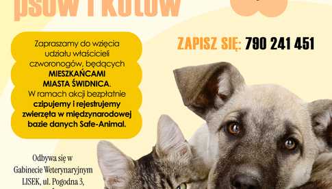 Bezpłatne czipowanie psów i kotów w Świdnicy