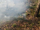 Pożar lasu w okolicach Kośmina