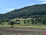 Pożar lasu w Pieszycach