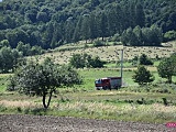 Pożar lasu w Pieszycach