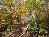 Kolorowa jesień w Górach Sowich