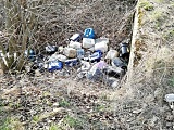 Śmieci przy drodze Nowizna - Bratoszów