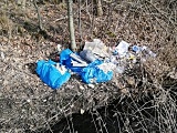 Śmieci przy drodze Nowizna - Bratoszów