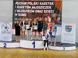 Trzy złote i cztery brązowe medale wywalczyli sumici z powiatu dzierżoniowskiego w Pucharze Polski w sumo