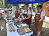 Powitanie lata i piknik historyczny w Niemczy