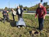 Akcja sadzenia drzew na 100-lecie Polskiego Towarzystwa Dendrologicznego