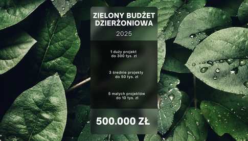 Rusza Zielony Budżet Dzierżoniowa 2025