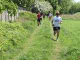 Backyard Ultra w Pieszycach