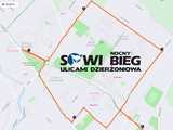 Sowi Bieg – niezbędnik dla biegaczy