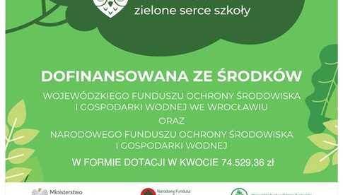 Jak Żywioły Działamy z Energią 