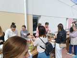 Piknik Rodzinny w Przedszkolu ,,Na Akacjowym Wzgórzu w Łagiewnikach