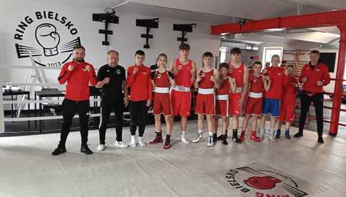 Boks Cziszewski na zawodach w Bielsku-Białej