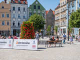 TRAKT Dzierżoniów