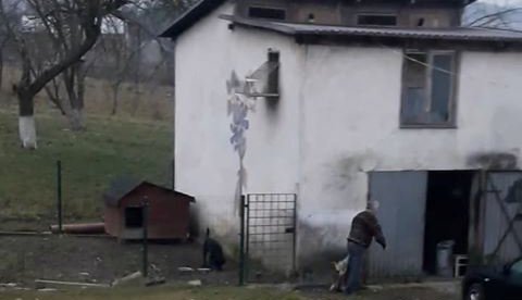 Mężczyzna zastrzelił psa w Międzylesiu 