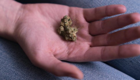 Kłodzko: 20-latka na widok policji wyrzuciła zawiniątko z marihuaną 