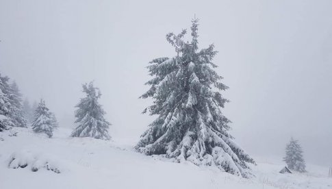 [FOTO] Śnieg w Międzylesiu i Zieleńcu!