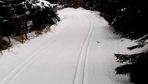 Po wczorajszych opadach śniegu, postanowiliśmy wysłać ponownie naszego Misia w Góry Bialskie w celu przygotowania Gminnych szlaków narciarstwa biegowego.