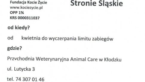 Akcja sterylizacji kotów dla mieszkańców gminy Stronie Ślaskie