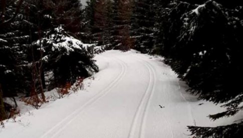 Warunki śniegowe na trasach biegowych w Górach Bialskich, po ostatnich kilkudniowych opadach śniegu są bardzo dobre