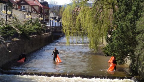 Akcja sprzątania miasta Polanica dla Ziemi[Foto]