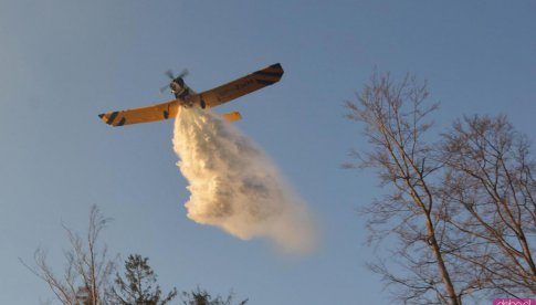Trwa akcja gaśnicza w Nowej Rudzie, gdzie z pożarem lasu walczy 17 zastępów straży pożarnej. Do działań zadysponowano także samolot gaśniczy. 