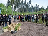 Akcja Łączą nas drzewa” w Nadleśnictwie Jugów [Foto]