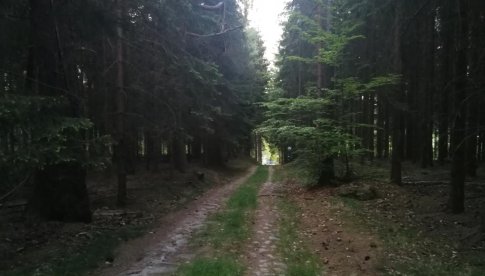 Trasy turystyczne na Błędnych Skałach oraz Szczelińcu Wielkim zamknięte do odwołania