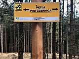 Przygotowania do sezonu narciarstwa biegowego w gminie Stronie Śląskie 