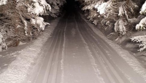 Komunikat dla narciarzy biegowych z dnia 26 stycznia 2022r.
