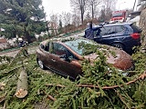 Zerwane poszycia dachowe, połamane drzewa i uszkodzone auta [Foto]