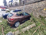 Zerwane poszycia dachowe, połamane drzewa i uszkodzone auta [Foto]