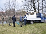 Do Nysy Kłodzkiej trafiło 200 kg dwuletniego pstrąga potokowego [Foto]