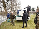 Do Nysy Kłodzkiej trafiło 200 kg dwuletniego pstrąga potokowego [Foto]