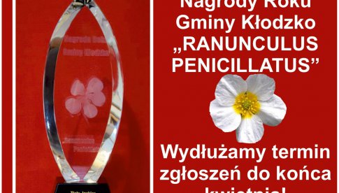 Wydłużony termin zgłoszeń do Nagród Roku Gminy Kłodzko Ranunculus Penicillatus 