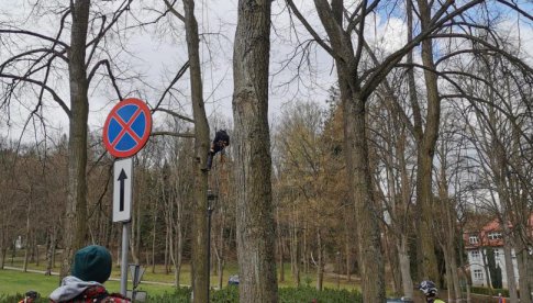 [FOTO] Rozpoczęły się prace przy rewitalizacji terenów zielonych w Polanicy-Zdroju