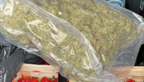 Kłodzcy policjanci zatrzymali ojca z synem, którzy w aucie obok koszyka truskawek przewozili 3 kg marihuany