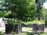 Zakończono prace w parku przy ulicy Strzeleckiej w Nowej Rudzie