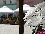 [FOTO] Ogródki restauracyjne otwarte, mieszkańcy korzystają