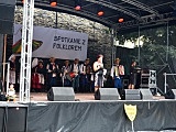 [FOTO] Festiwal folkloru: niedziela na bogato!