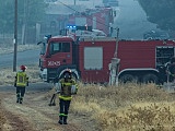 [FOTO] Świdniccy strażacy walczą z ogniem w okolicach Aten