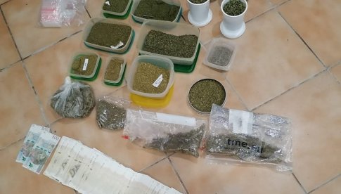 [FOTO] Policjanci przechwycili ponad 12 kilogramów marihuany, zlikwidowali nielegalną uprawę