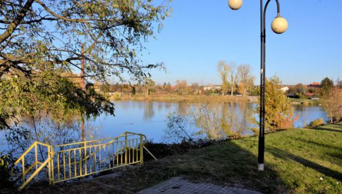4,5 miliona złotych na rewitalizację parku i stawu miejskiego w Żarowie