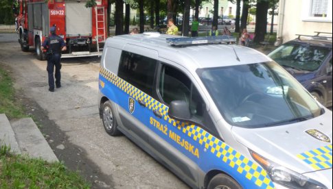 W Świdnicy grasuje podpalacz - interwencje Straży Miejskiej