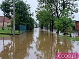 Ponad 100 gospodarstw zalanych, uszkodzone drogi, zniszczone uprawy. Trudna sytuacja w gminie Marcinowice