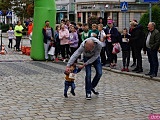 [FOTO] Wystartował jubileuszowy Aryzta Półmaraton Strzegom 