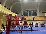 [FOTO] Międzynarodowy turniej bokserski w Świdnicy zakończony. Nie obyło się bez ciężkich nokautów
