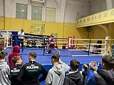 [FOTO] Międzynarodowy turniej bokserski w Świdnicy zakończony. Nie obyło się bez ciężkich nokautów