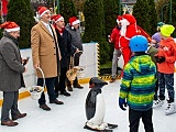 Sezon łyżwiarski na strzegomskim „Białym Orliku” ponownie zainaugurowany. 