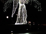 Wybrano najpiękniejsze świąteczne fotografie ze Świdnicy [LISTA ZWYCIĘZCÓW, FOTO]