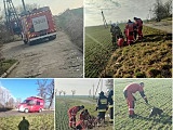 [FOTO] Bóbr wpadł do studzienki. Pomogli strażacy